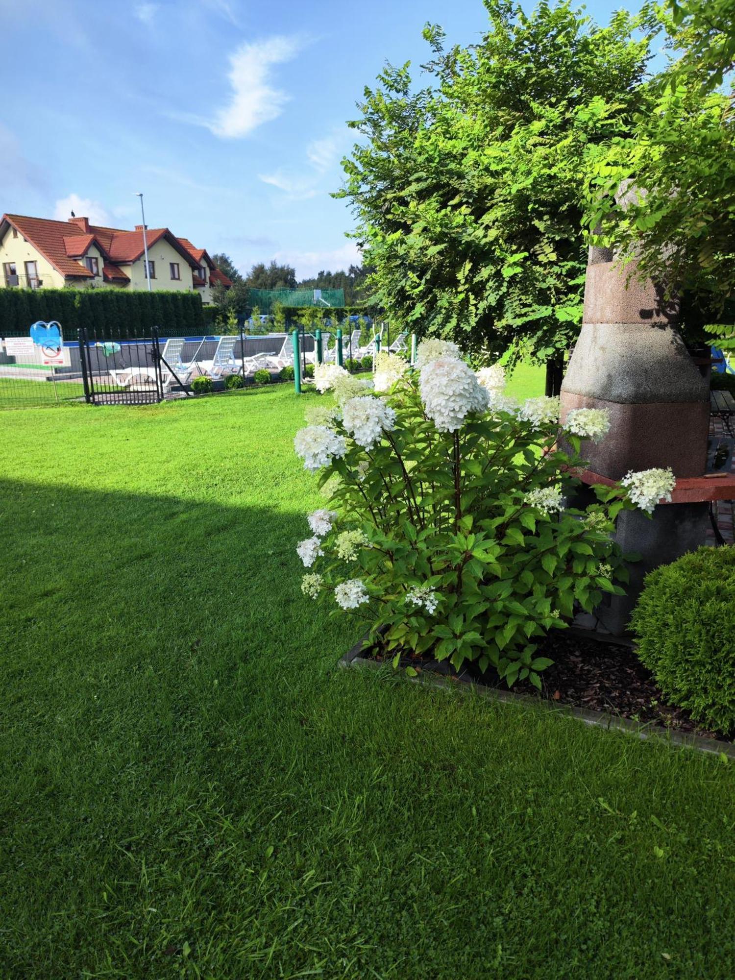 Michalek W Rowach Bed & Breakfast Rowy  Luaran gambar