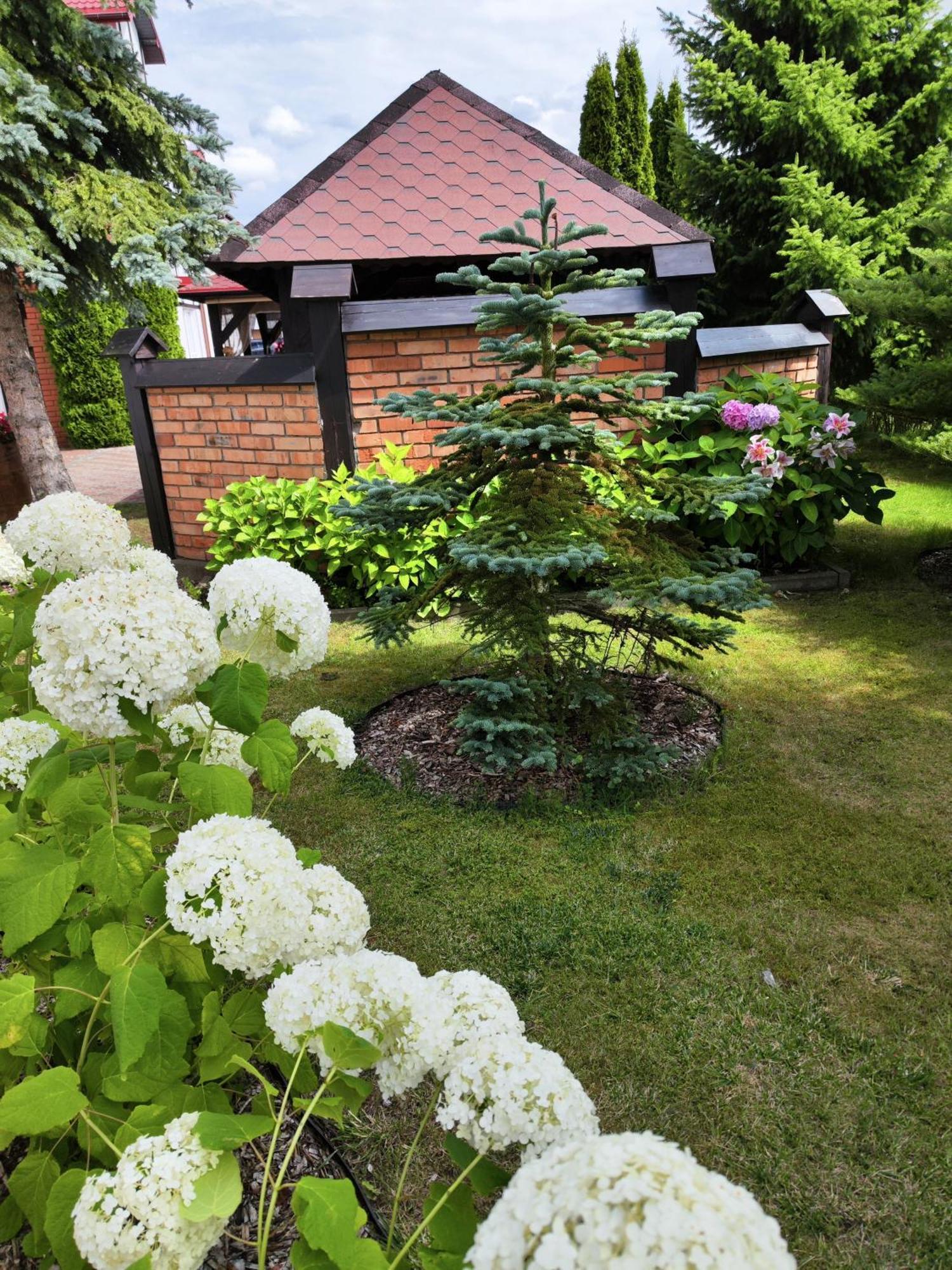 Michalek W Rowach Bed & Breakfast Rowy  Luaran gambar