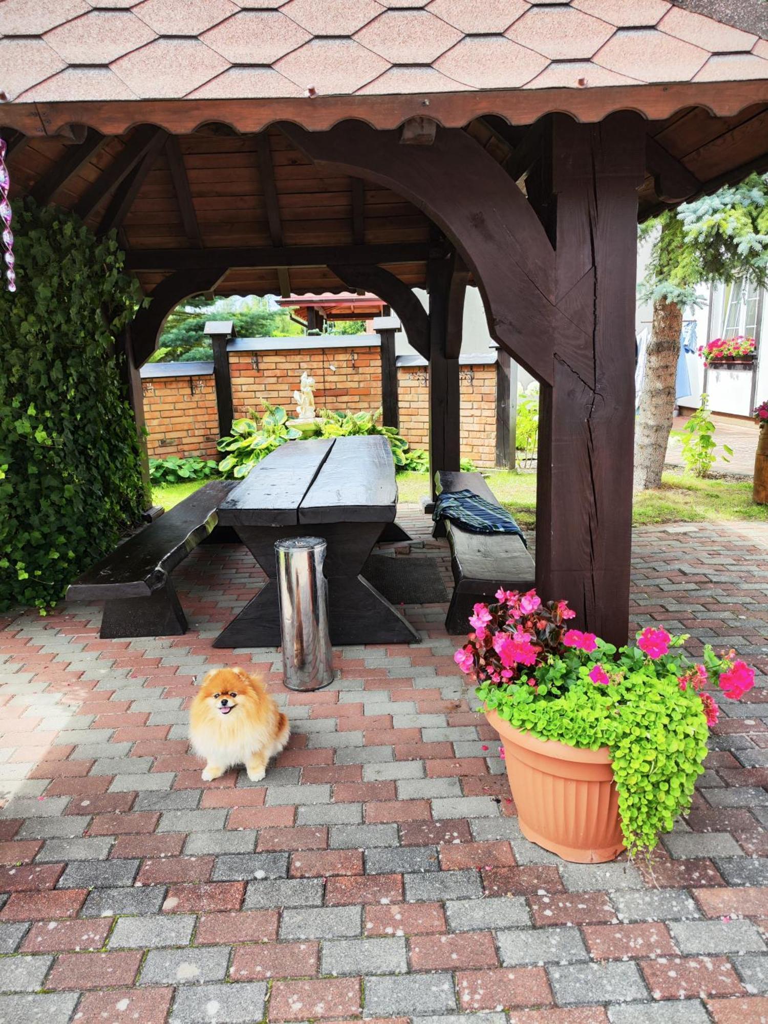 Michalek W Rowach Bed & Breakfast Rowy  Luaran gambar