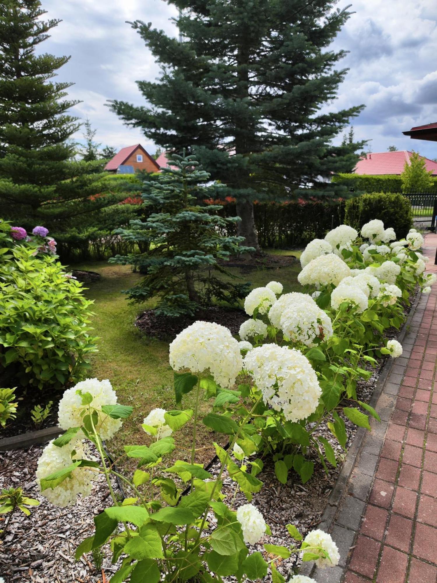 Michalek W Rowach Bed & Breakfast Rowy  Luaran gambar